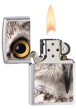 Zapalniczka Zippo Oko Orła, Brushed Chrome